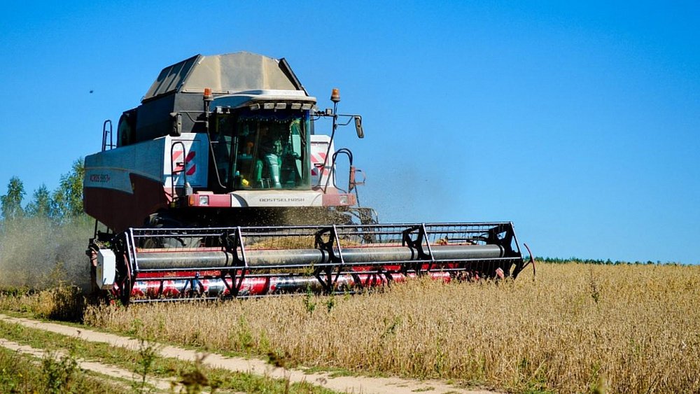 В Челябинской области начнется производство семян овощей взамен импортных