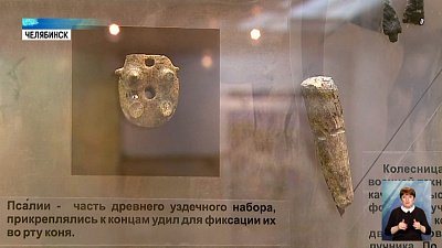 Для музеев в вузах предложили создать реестр