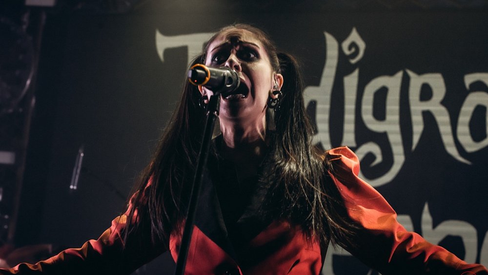 В Челябинск приезжает кабаре-метал-группа Tardigrade Inferno