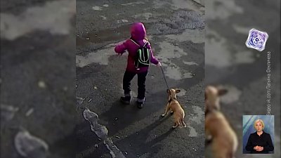 Девочку-живодерку изъяли из семьи