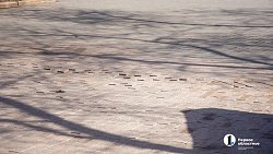 В Челябинске просела плитка у стелы «Город трудовой доблести»