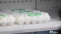 Южноуральцам рассказали, почему подорожала капуста в торговых сетях