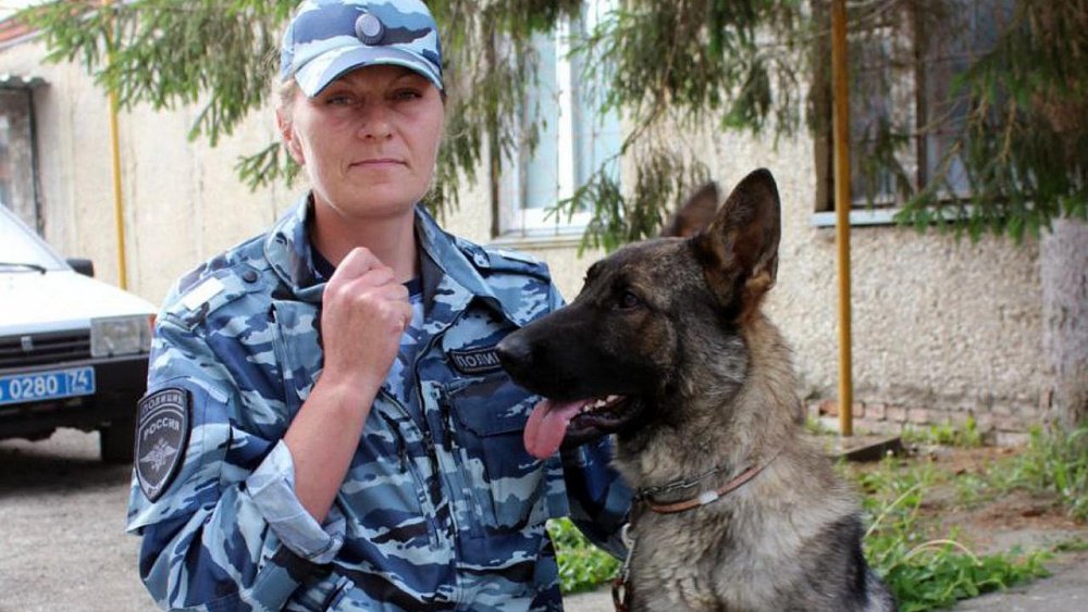 В Челябинской области кинолог и служебная собака нашли сбежавшего из дома 12-летнего мальчика