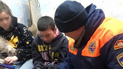 В Челябинской области кинолог и служебная собака нашли сбежавшего из дома 12-летнего мальчика