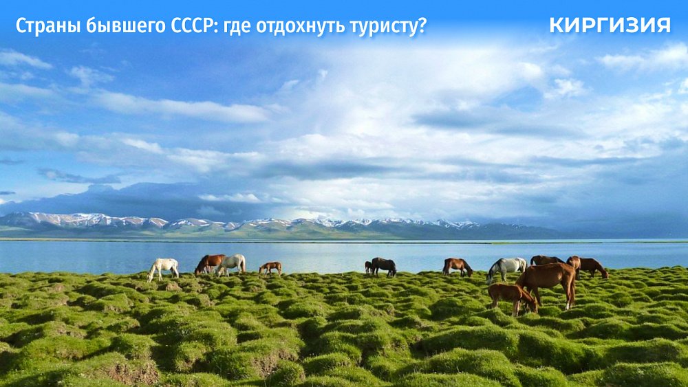 Катаемся на лошадях, ночуем в юрте с видом на горы и едим хошаны в Киргизии