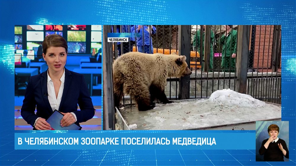 В челябинском зоопарке поселилась медведица