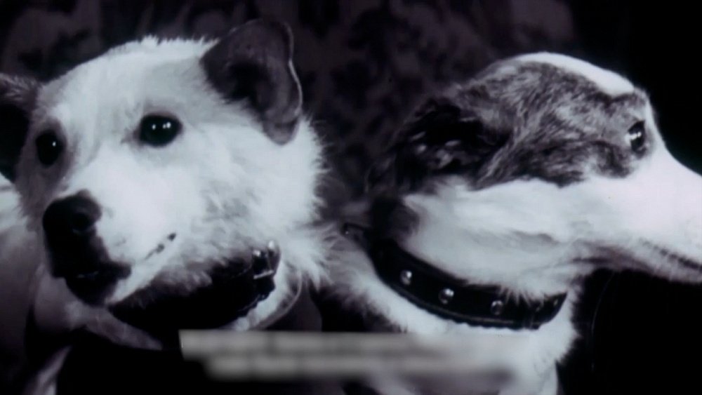 Интересные факты о космосе и космонавтах