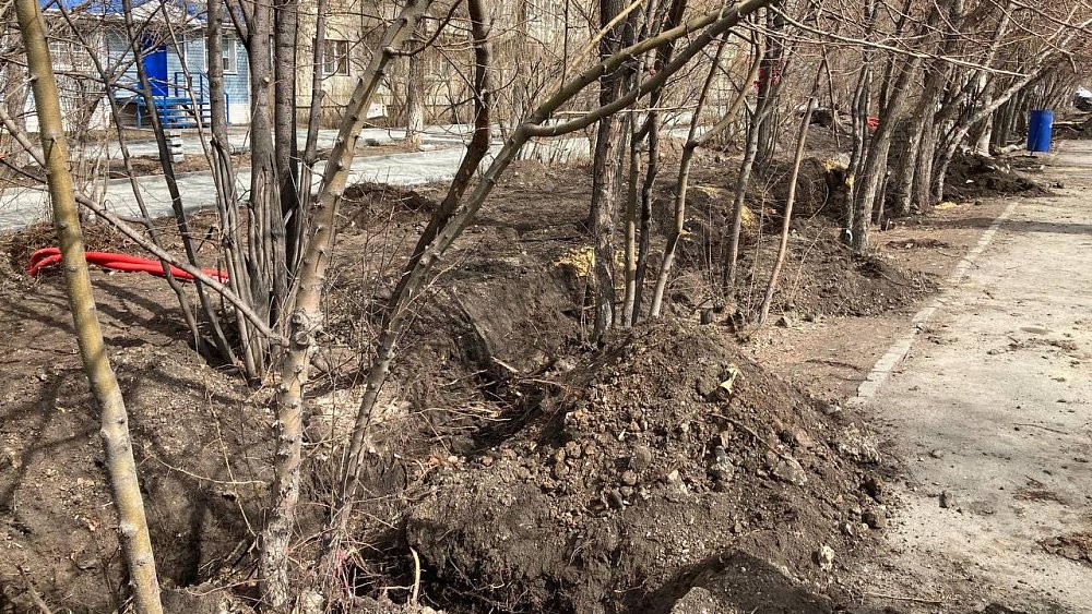 На Комсомольском проспекте в Челябинске подрядчик при благоустройстве повредил деревья