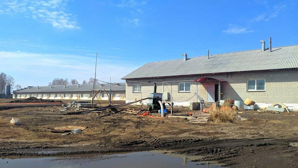 Двое рабочих погибли на свинокомплексе в Челябинской области Двое рабочих погибли на свинокомплексе в Челябинской области