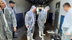 Двое рабочих погибли на свинокомплексе в Челябинской области Двое рабочих погибли на свинокомплексе в Челябинской области