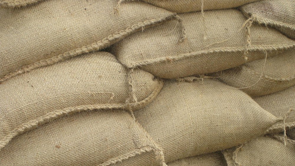 В Челябинской области запретили ввоз 38 тонн казахстанских кормов для животных