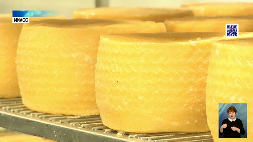 Миасские сыровары покоряют рынок