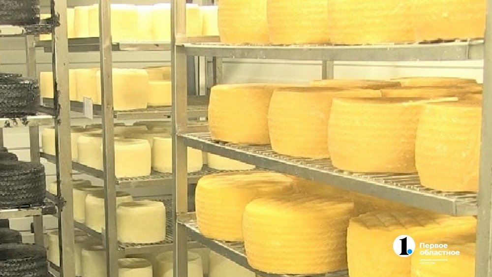 Фермер из Миасса производит аналоги санкционных сыров