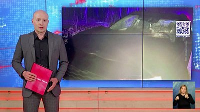 В Кыштыме водитель насмерть сбил лося