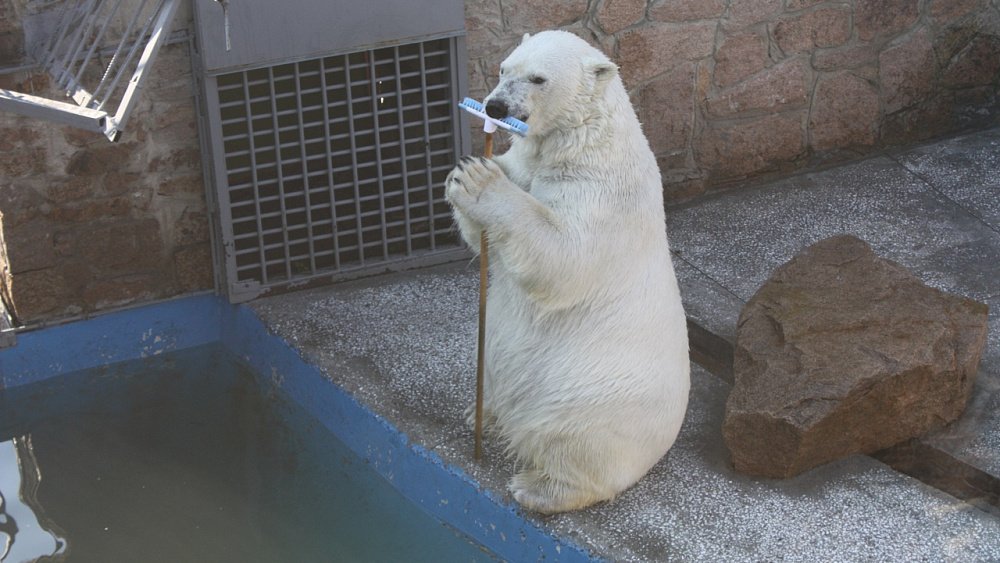 Челябинский зоопарк перешел на летнее время работы