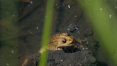 Красоты Челябинской области — Каштакский бор