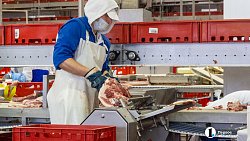 Агрофирма «Ариант» инвестирует в производство свинины 3,2 млрд рублей