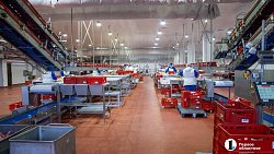 Агрофирма «Ариант» инвестирует в производство свинины 3,2 млрд рублей