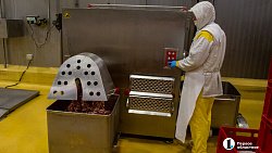 Агрофирма «Ариант» инвестирует в производство свинины 3,2 млрд рублей