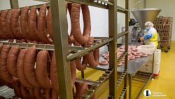 Агрофирма «Ариант» инвестирует в производство свинины 3,2 млрд рублей