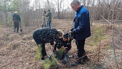 В Копейске горожанам предложили перенести молодые деревья из городского парка 