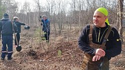 В Копейске горожанам предложили перенести молодые деревья из городского парка 