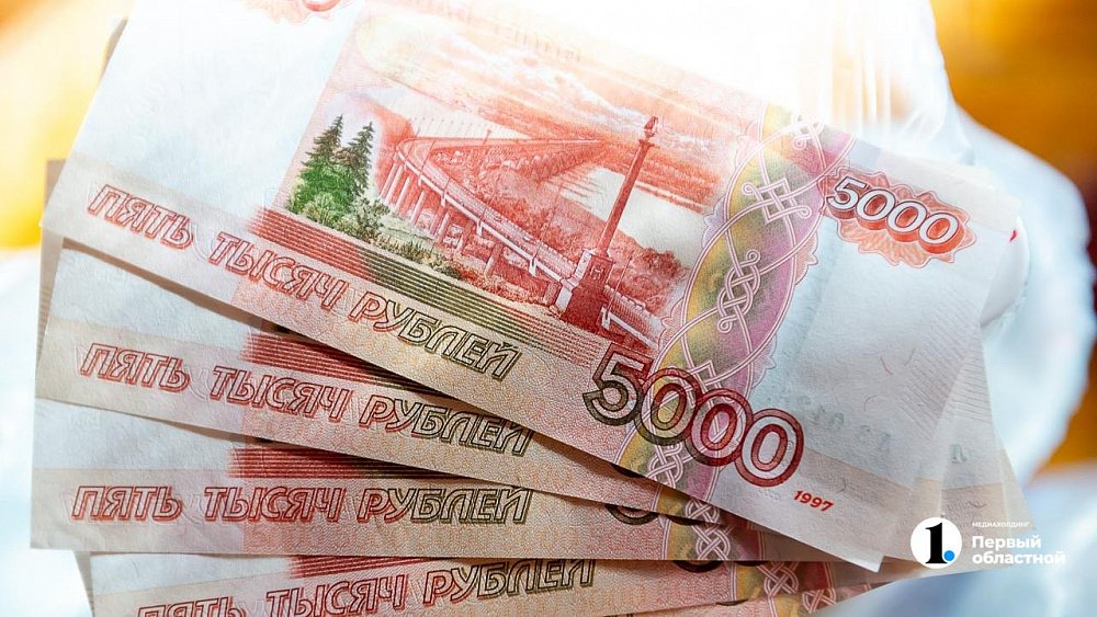 Челябинские депутаты Госдумы и их жены отчитались о доходах