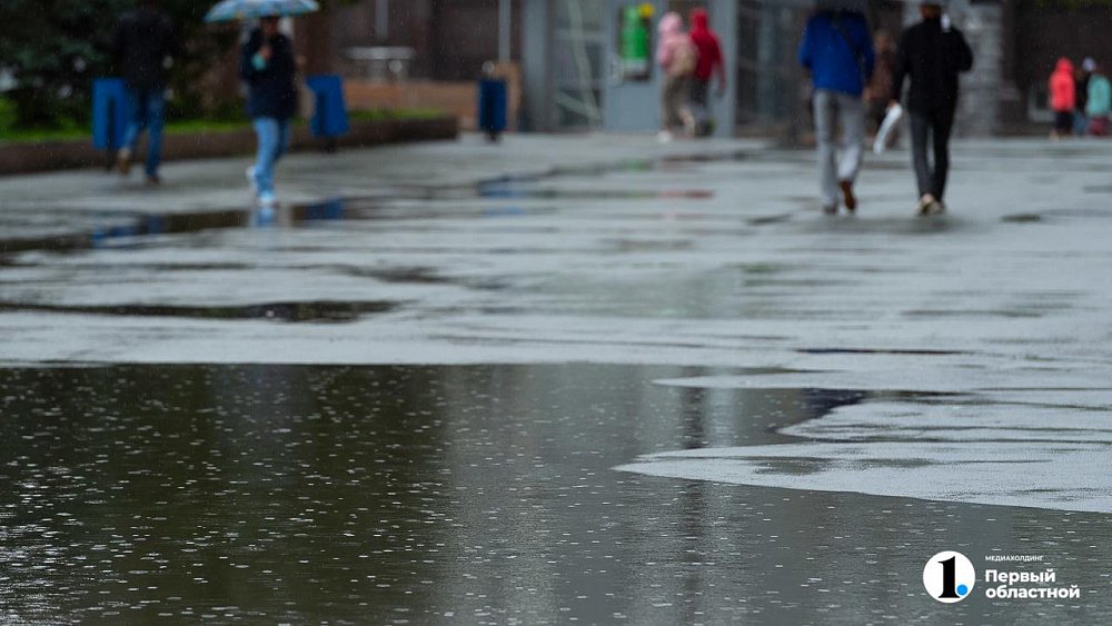 В Челябинской области прогнозируют дождливую и ветреную погоду