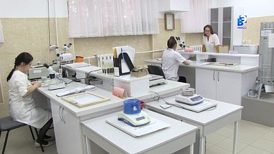 Миасские селекционеры пополняют семенной фонд