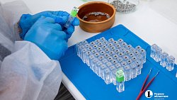 В Челябинске развернули производство сверхпрочных зубных имплантов