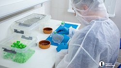 В Челябинске развернули производство сверхпрочных зубных имплантов