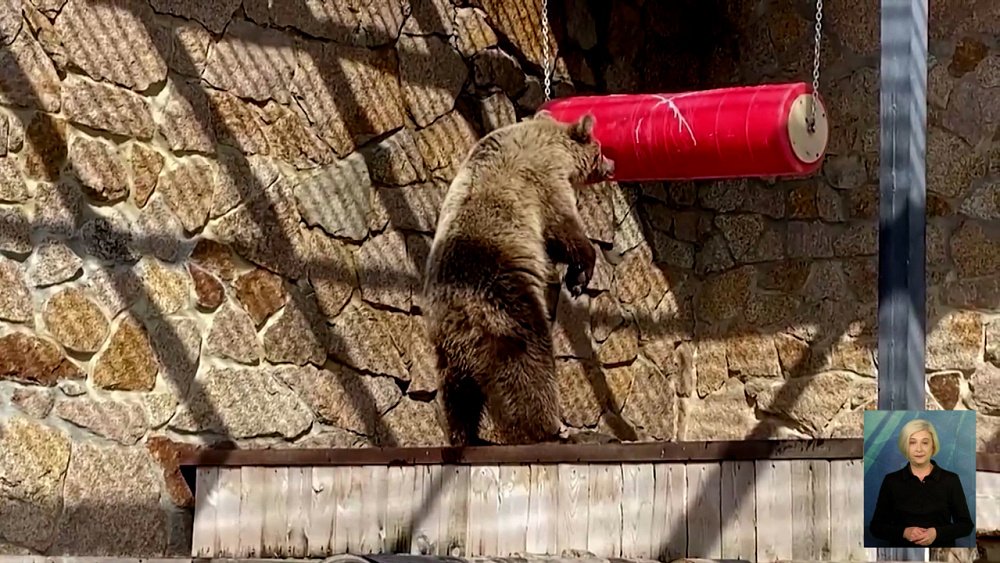 Обитатели зоопарка выходят из спячки