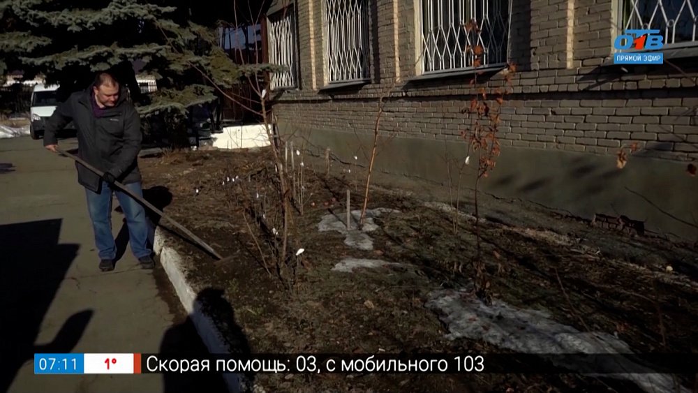 Что посеять в апреле? в рубрике «Руки садовода»