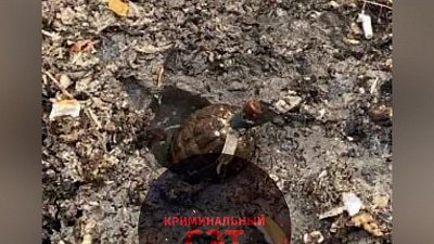 В Златоусте местный житель нашел гранату в огороде