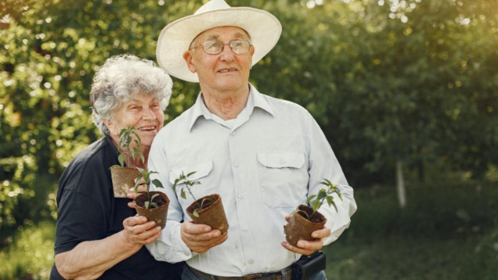 Долгожители придерживаются этих принципов