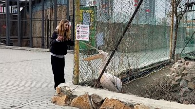 В Челябинском зоопарке посетители развлекают питомцев