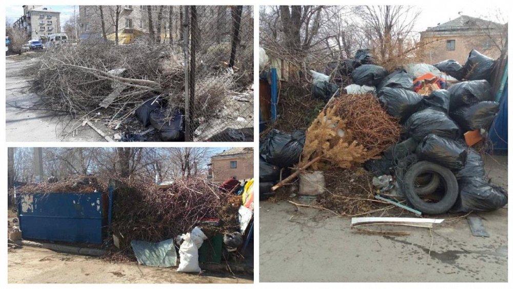 В Челябинской области контейнерные площадки возле домов завалили мусором и спиленными ветками