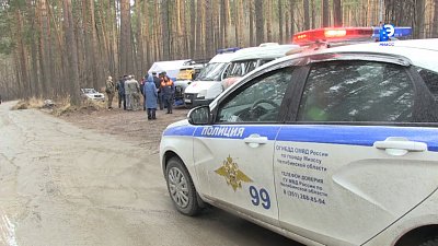 Экстренные службы «спасали» лес и садовые домики