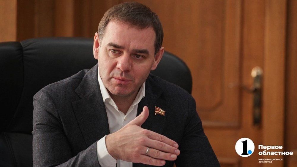 Госдума поддержала предложение ЗСО Челябинской области о помощи самозанятым