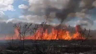 В Кунашакском районе сгорели 23 гектара камыша