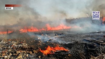 В Кунашакском районе лесные пожары