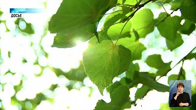 В летних лагерях отдохнет больше 160 тысяч детей