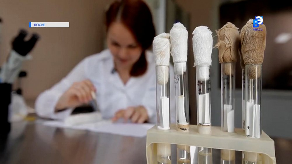 В Челябинской области проснулись клещи