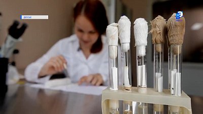 В Челябинской области проснулись клещи