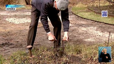 Южноуралец высадил почти 1500 деревьев