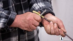 Как привить яблоню и получить богатый урожай