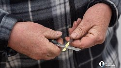 Как привить яблоню и получить богатый урожай