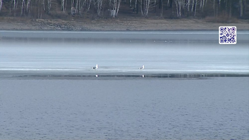 Инспектор рыбохраны спас мужчину на водоеме