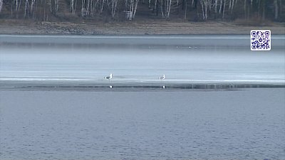 Инспектор рыбохраны спас мужчину на водоеме
