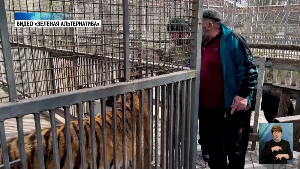 Карен Даллакян помог животным Мариуполя